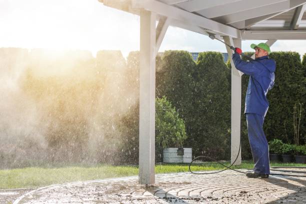 Animal Enclosure Cleaning in Lac Du Flambeau, WI